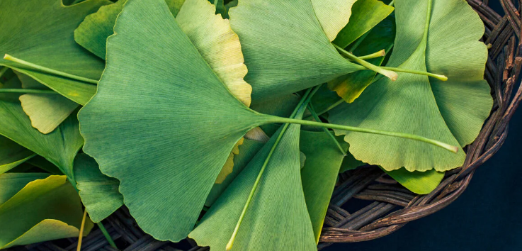 Crema Marire PENIS POWER EXTREME 4 Crema POWER EXTREME